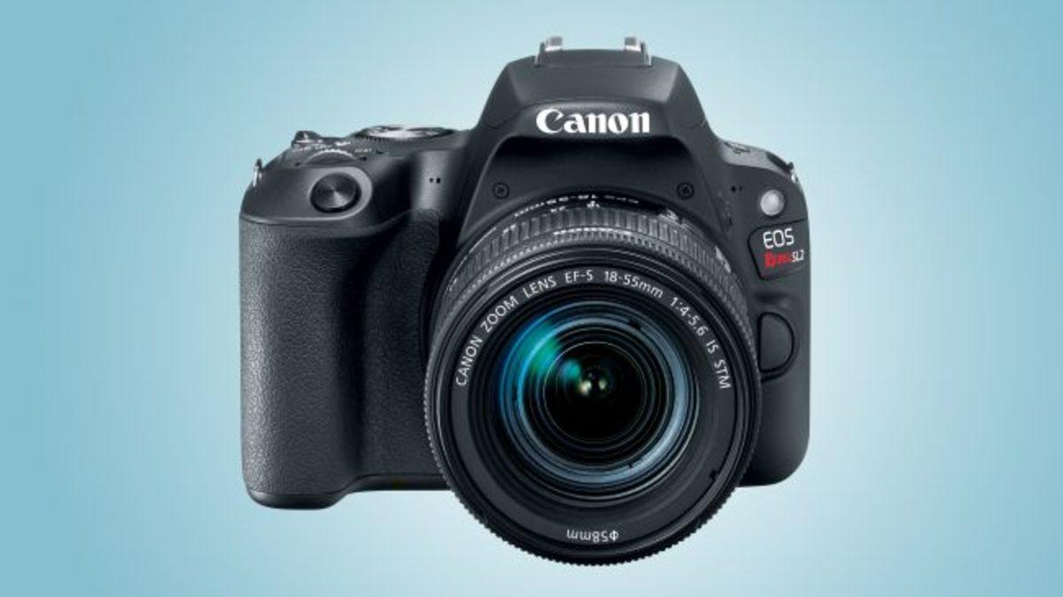 Hangisini Tercih Etmeli? Canon VS Nikon