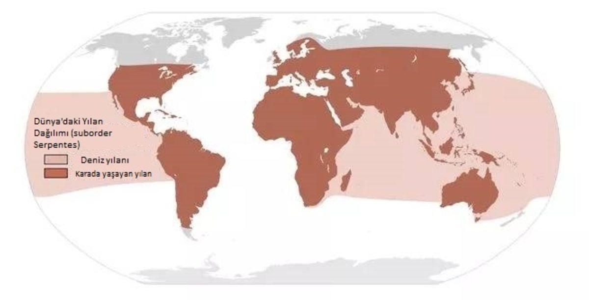 İrlanda’da Niçin Hiç Yılan Yok?