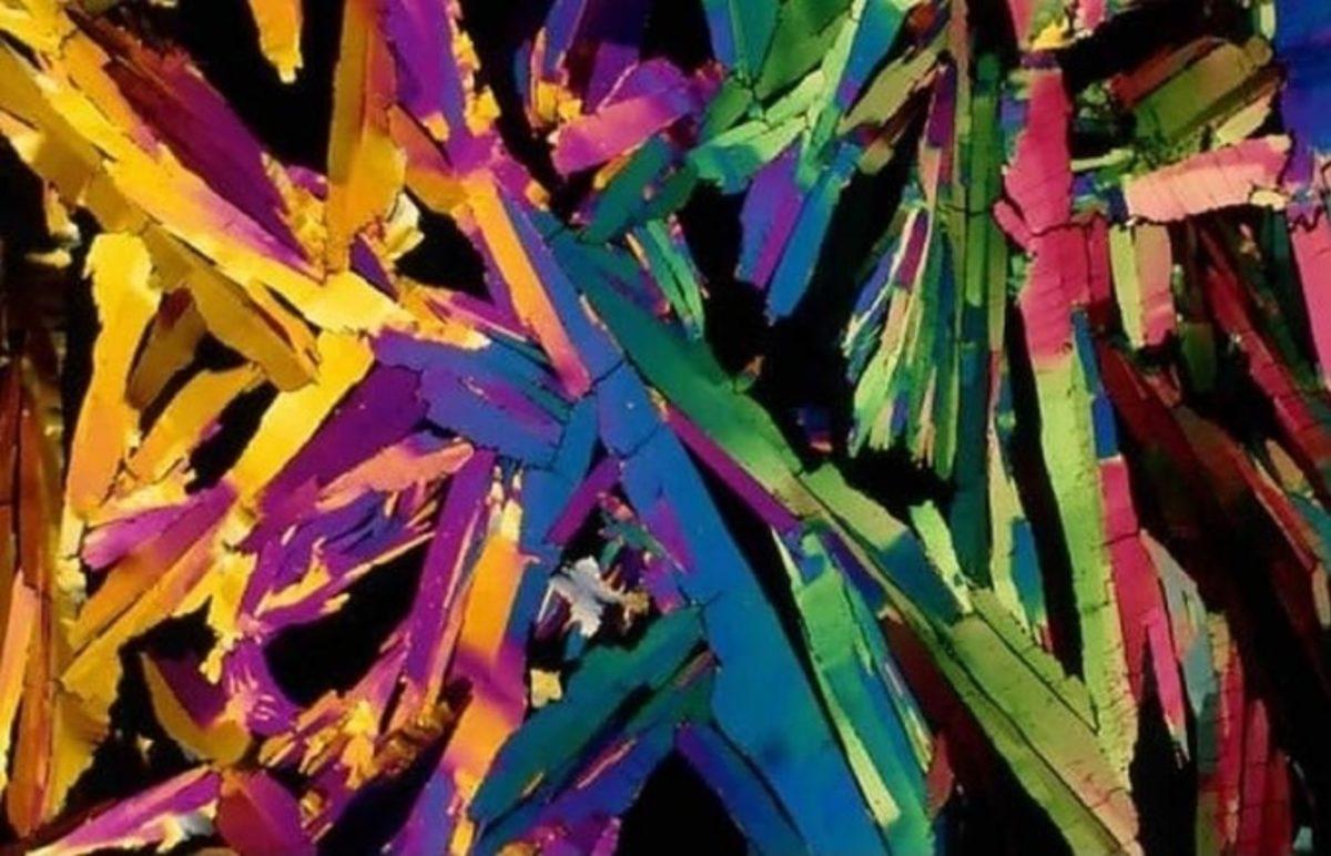 Her Gün Gördüğümüz 20 Nesnenin Mikroskop Altındaki İnanılmaz Görüntüleri