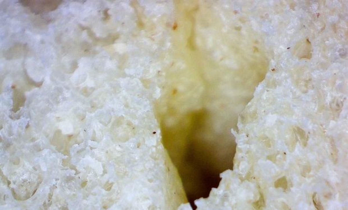 Her Gün Gördüğümüz 20 Nesnenin Mikroskop Altındaki İnanılmaz Görüntüleri