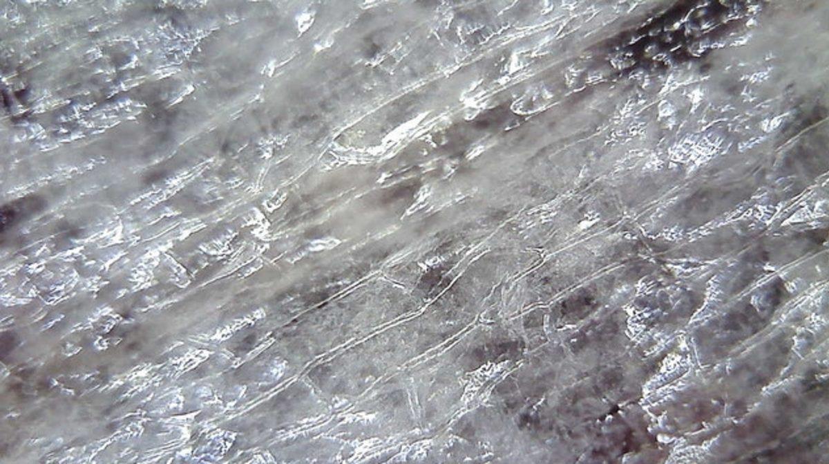 Her Gün Gördüğümüz 20 Nesnenin Mikroskop Altındaki İnanılmaz Görüntüleri