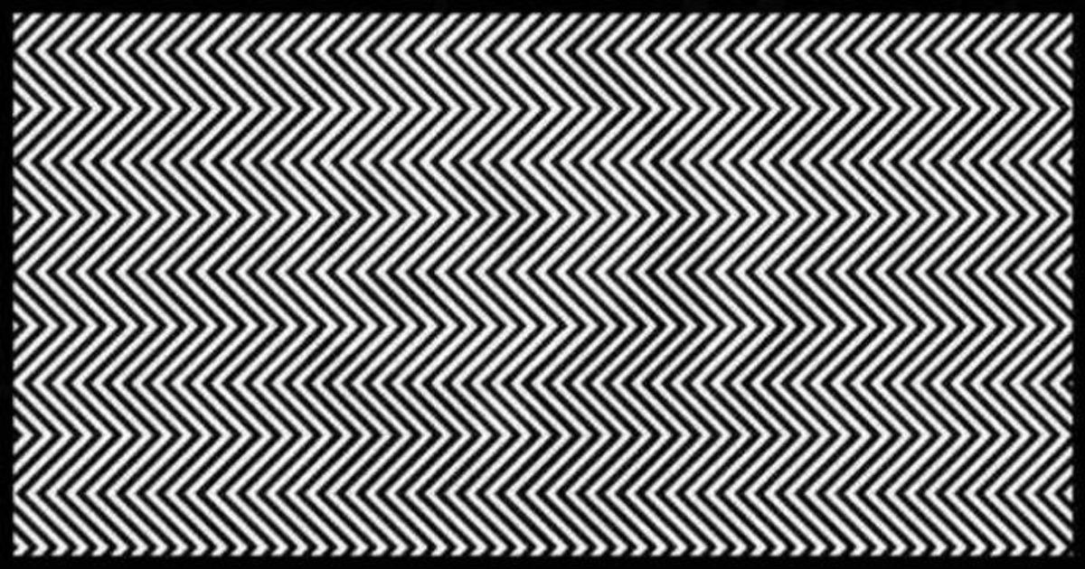 Bilim İnsanlarına Göre Bu Görüntüdeki Hayvanı Çok Az İnsan Görebiliyor