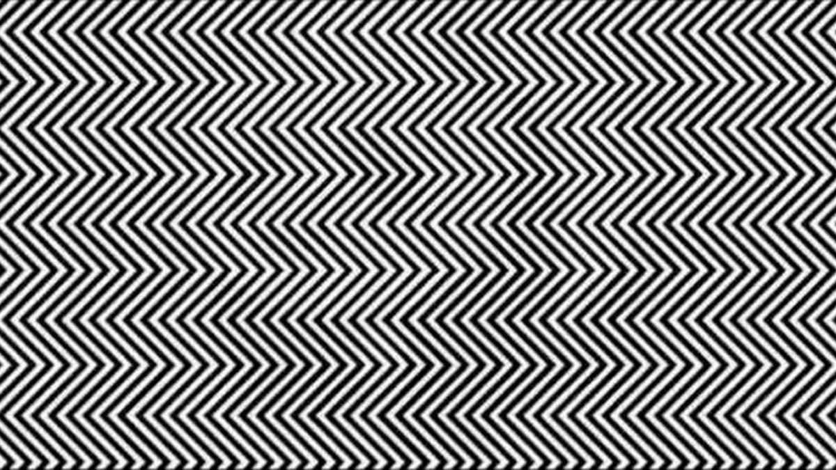 Bilim İnsanlarına Göre Bu Görüntüdeki Hayvanı Çok Az İnsan Görebiliyor