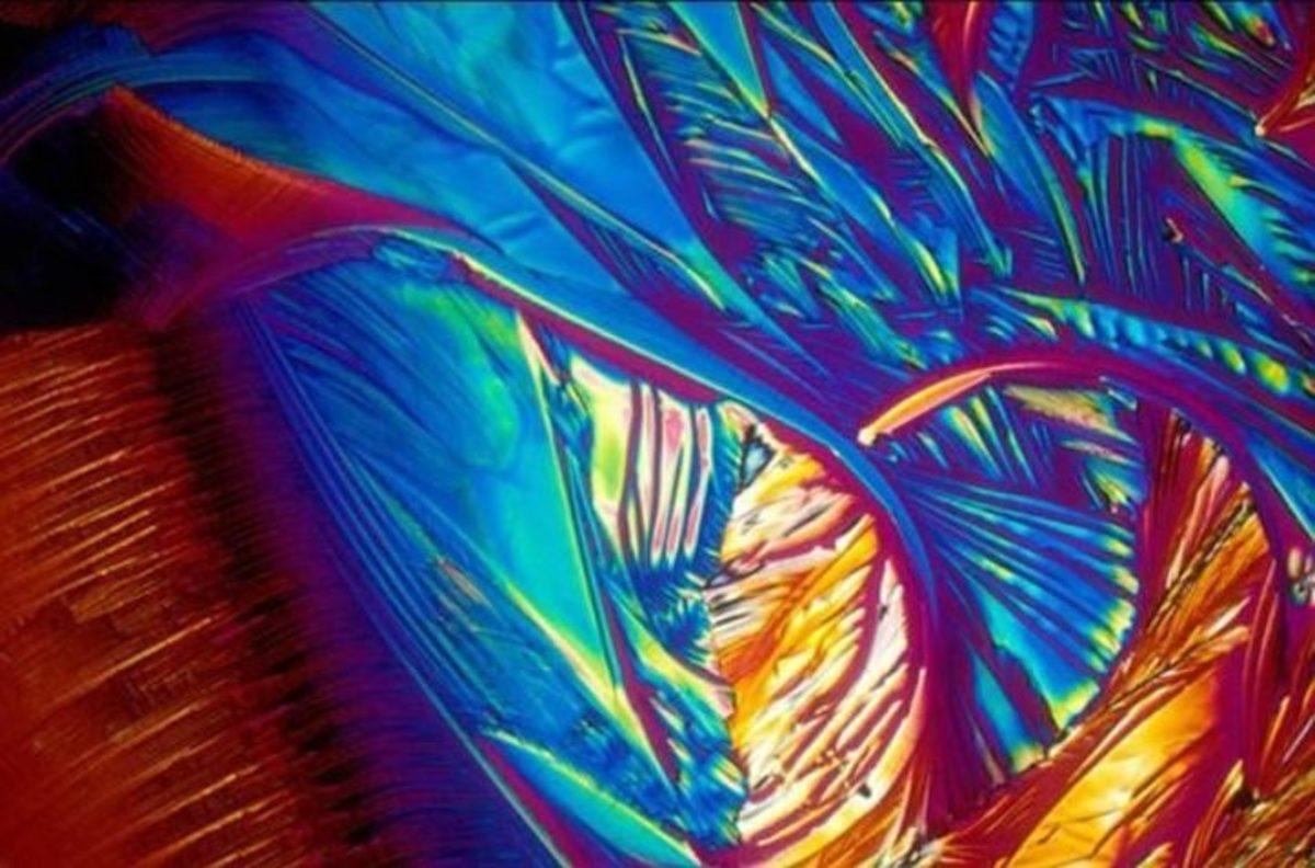 Günlük Hayatta Gördüğümüz Şeyler, Mikroskopla Nasıl Görünüyorlar?