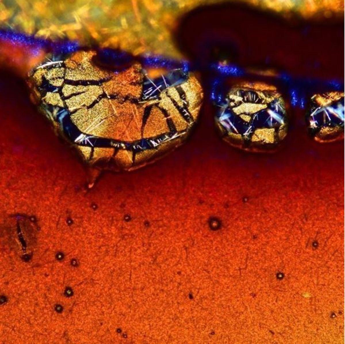 Günlük Hayatta Gördüğümüz Şeyler, Mikroskopla Nasıl Görünüyorlar?