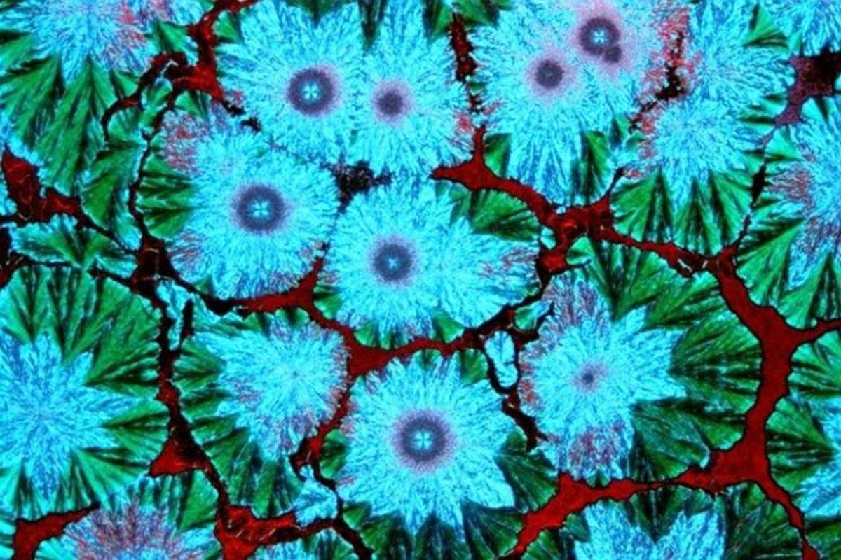 Günlük Hayatta Gördüğümüz Şeyler, Mikroskopla Nasıl Görünüyorlar?