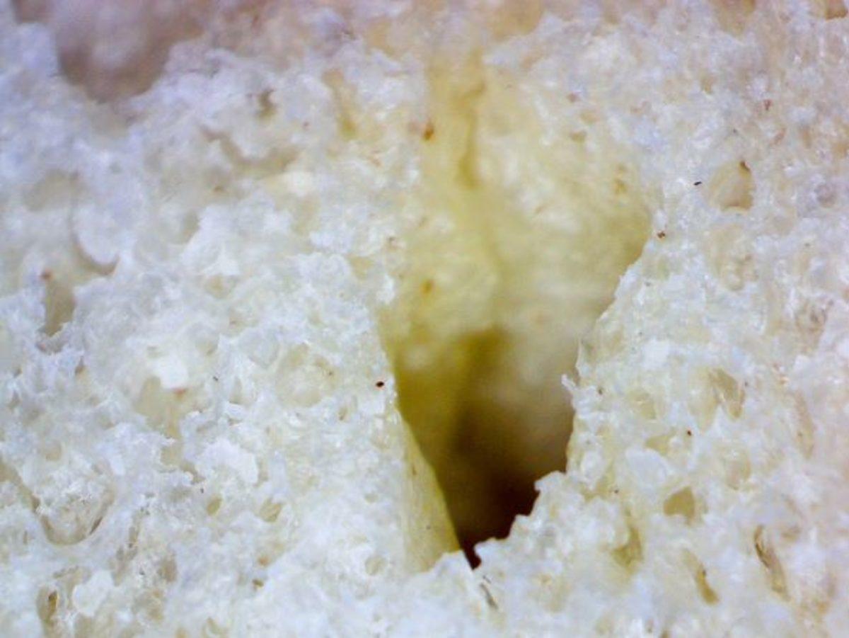 Günlük Hayatta Gördüğümüz Şeyler, Mikroskopla Nasıl Görünüyorlar?