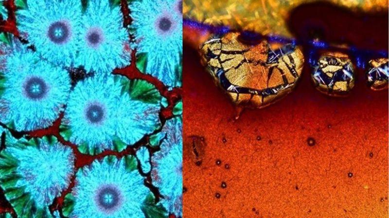 Günlük Hayatta Gördüğümüz Şeyler, Mikroskopla Nasıl Görünüyorlar?