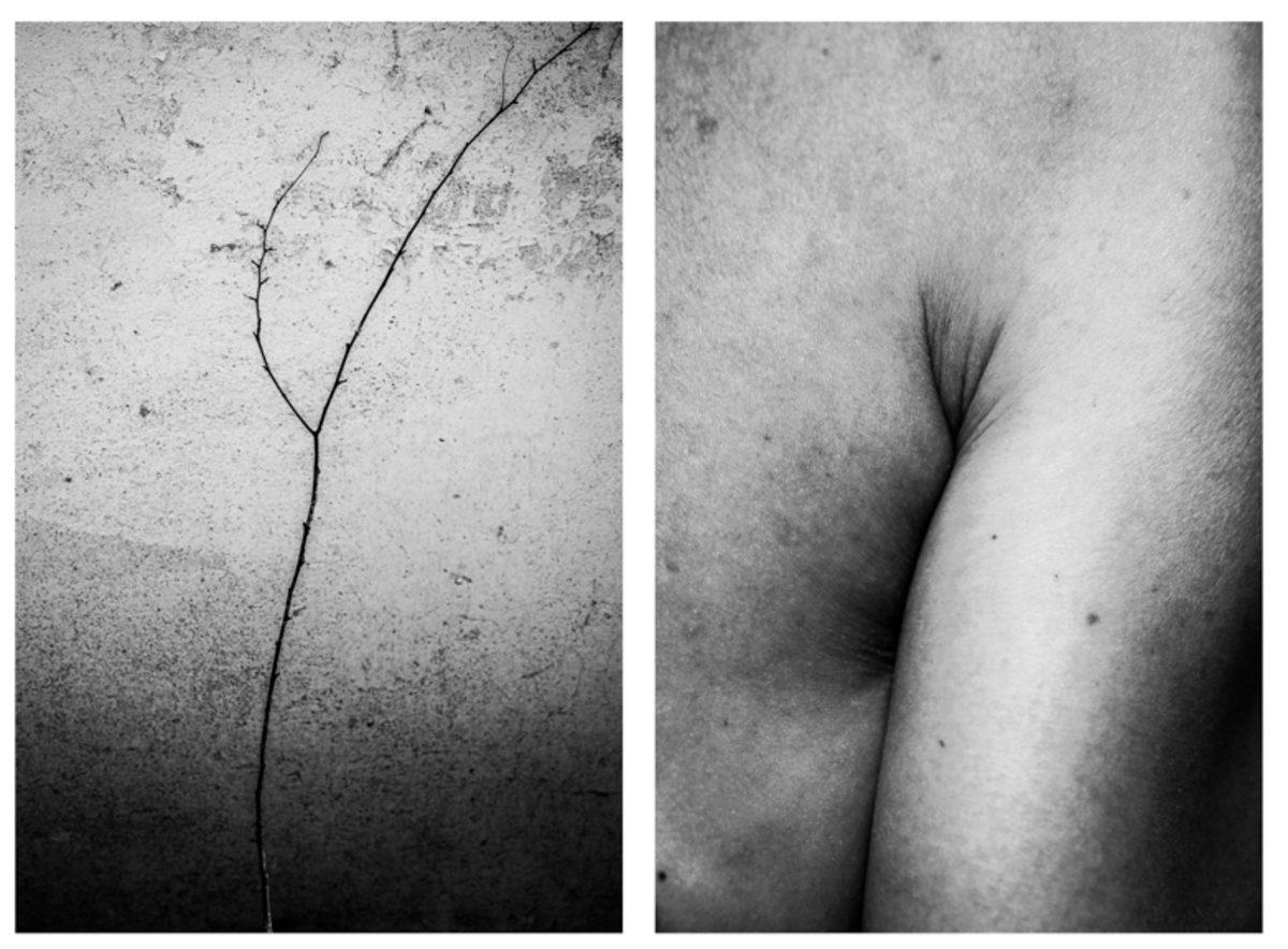 İnsan Vücuduyla Doğa Arasındaki Benzerlikleri Fotoğraflayan Sanatçının 9 Çalışması