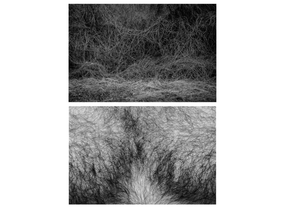 İnsan Vücuduyla Doğa Arasındaki Benzerlikleri Fotoğraflayan Sanatçının 9 Çalışması