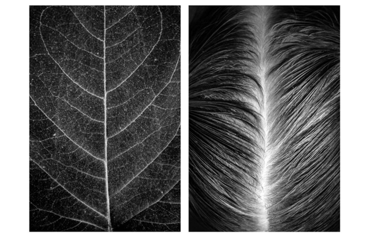 İnsan Vücuduyla Doğa Arasındaki Benzerlikleri Fotoğraflayan Sanatçının 9 Çalışması