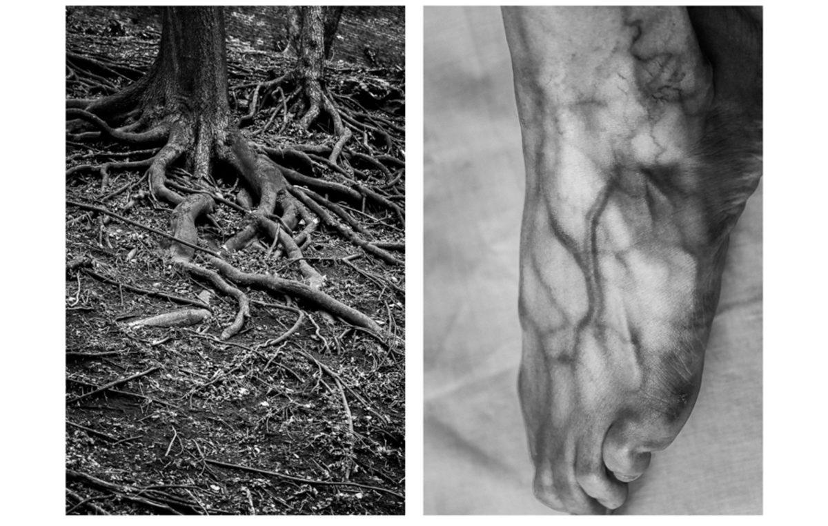 İnsan Vücuduyla Doğa Arasındaki Benzerlikleri Fotoğraflayan Sanatçının 9 Çalışması