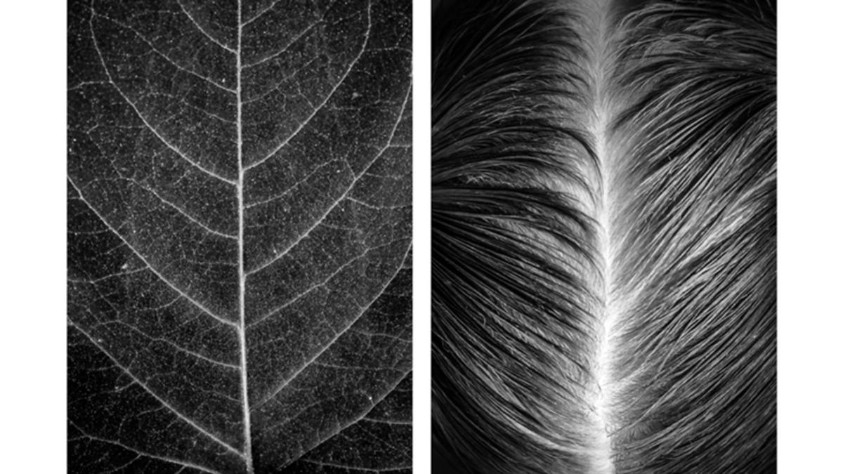 İnsan Vücuduyla Doğa Arasındaki Benzerlikleri Fotoğraflayan Sanatçının 9 Çalışması