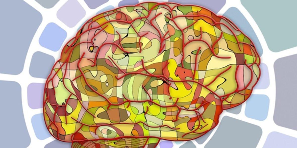 İkinci Bir Dil Öğrenmenin İnsan Beyninde Yarattığı 2 Olumlu Değişim