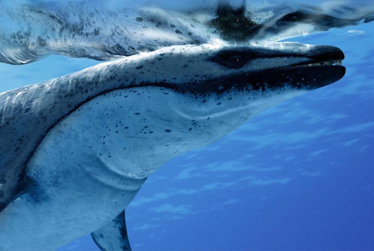 Acilen Filmi Çekilmesi Gereken 5 Korkunç Antik Deniz Canavarı