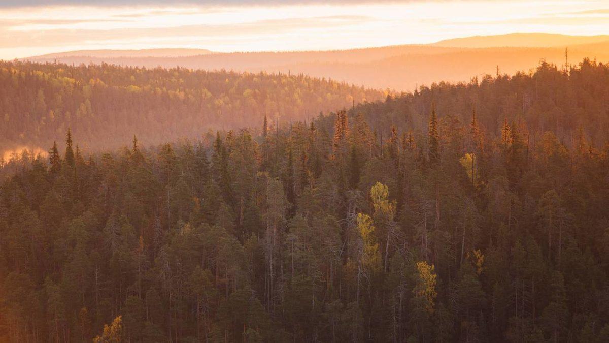 Finlandiya’nın ’Dünyanın En Mutlu Ülkesi’ Olmasını Sağlayan 10 Gerçek