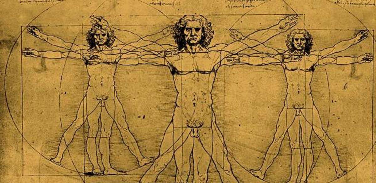 DNA’dan Dalgalara, Evrenin Güzellik Ölçütü: Altın Oran