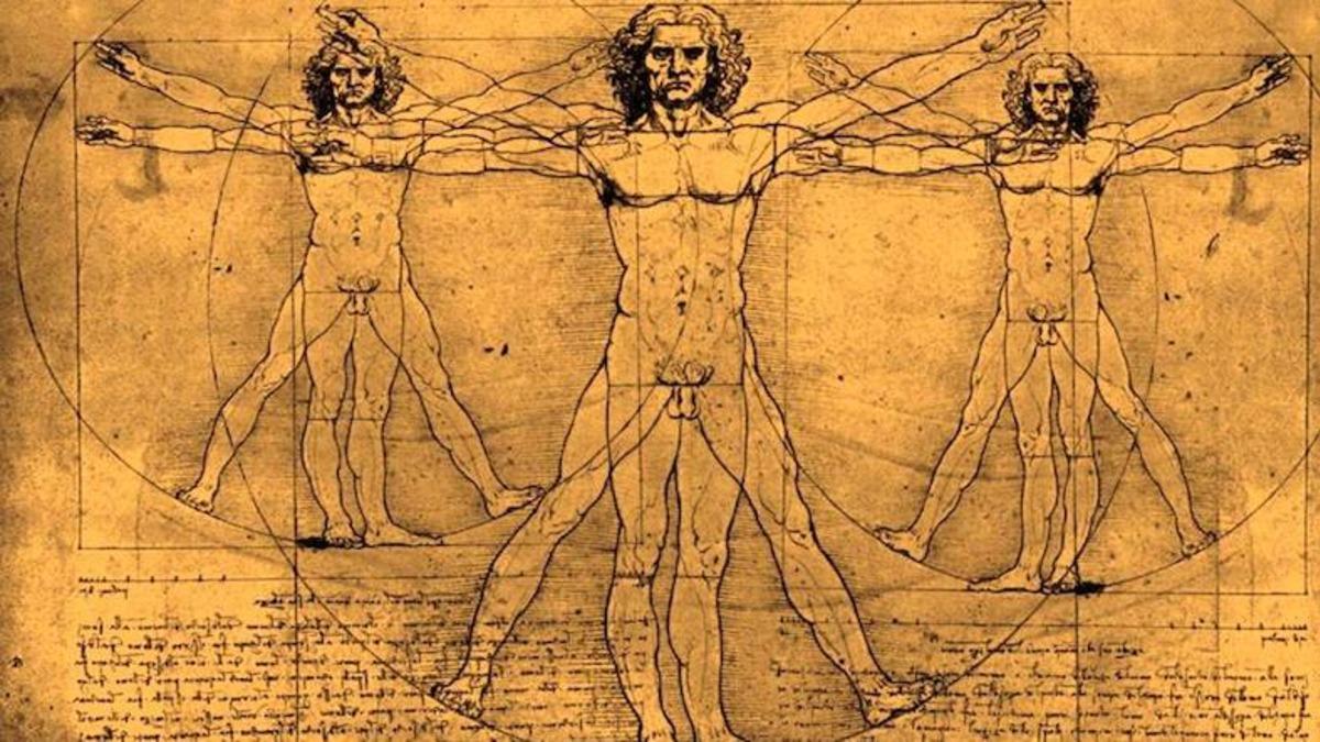 DNA’dan Dalgalara, Evrenin Güzellik Ölçütü: Altın Oran