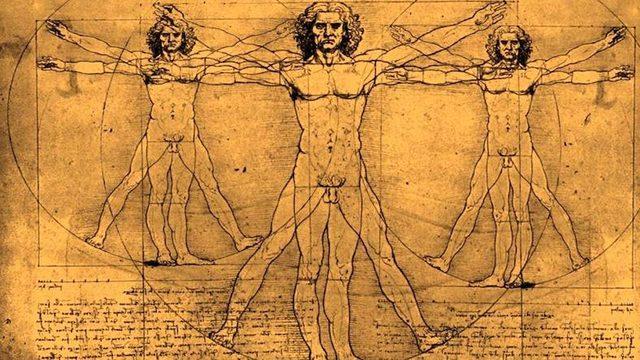 DNA’dan Dalgalara, Evrenin Güzellik Ölçütü: Altın Oran