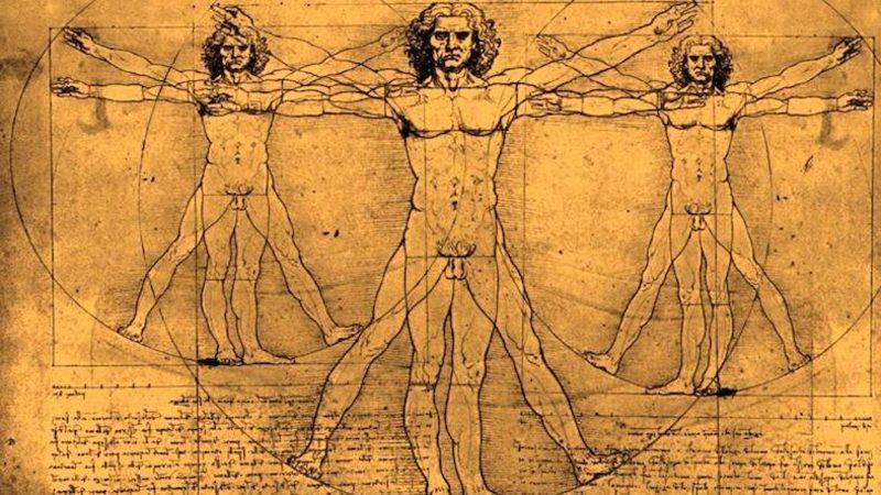 DNA’dan Dalgalara, Evrenin Güzellik Ölçütü: Altın Oran