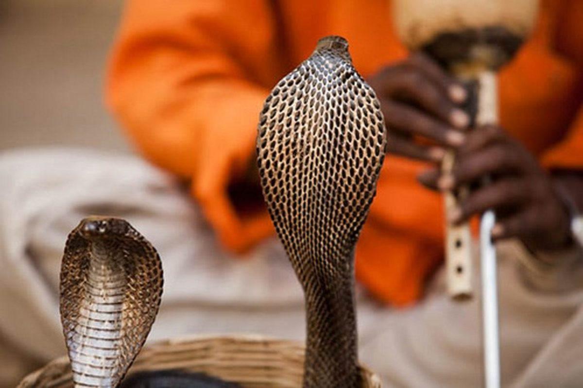 Çok Az İnsanın Bildiği, Birbirinden İlginç 15 Bilgi