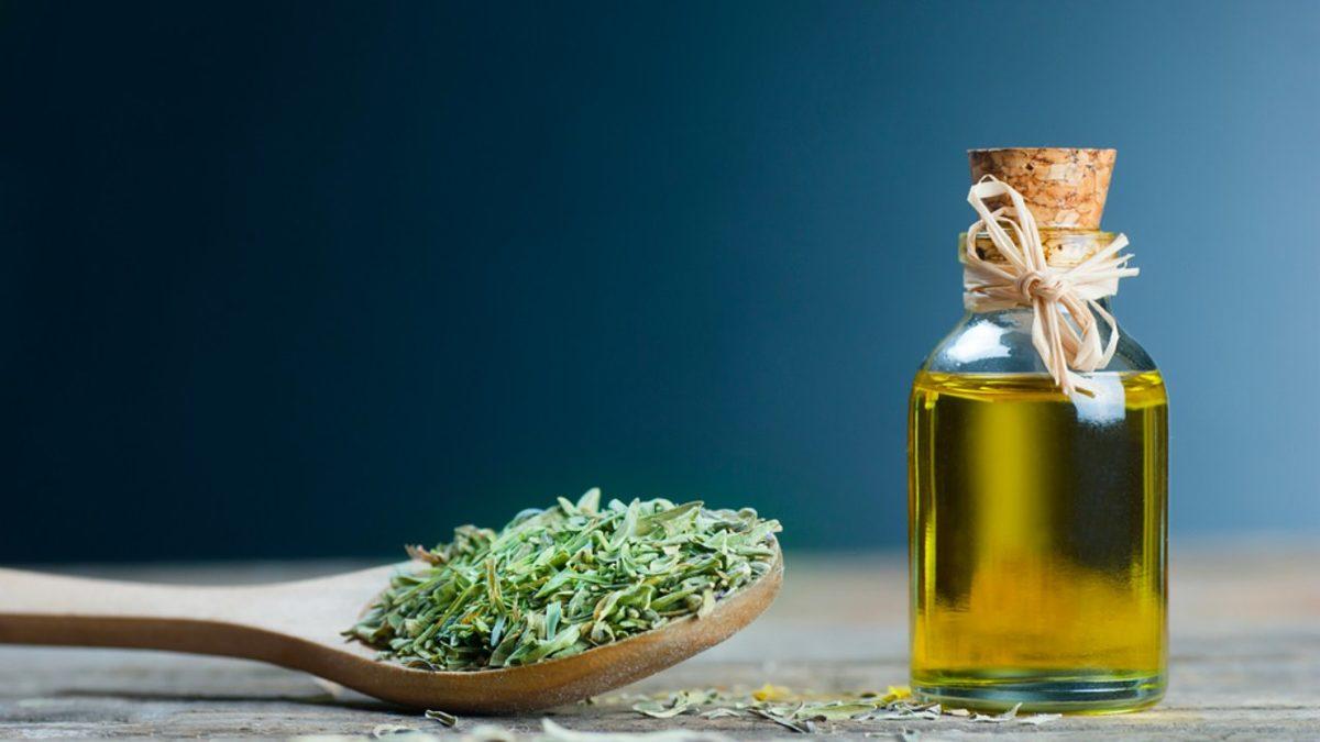 Sivrisinekleri Kendinizden Uzak Tutmak İçin Uygulayabileceğiniz 6 Doğal Yol