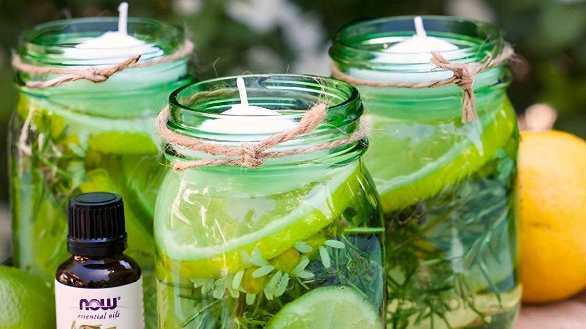 Sivrisinekleri Kendinizden Uzak Tutmak İçin Uygulayabileceğiniz 6 Doğal Yol