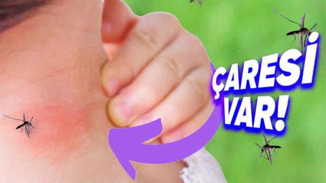 Sivrisinekleri Kendinizden Uzak Tutmak İçin Uygulayabileceğiniz 6 Doğal Yol