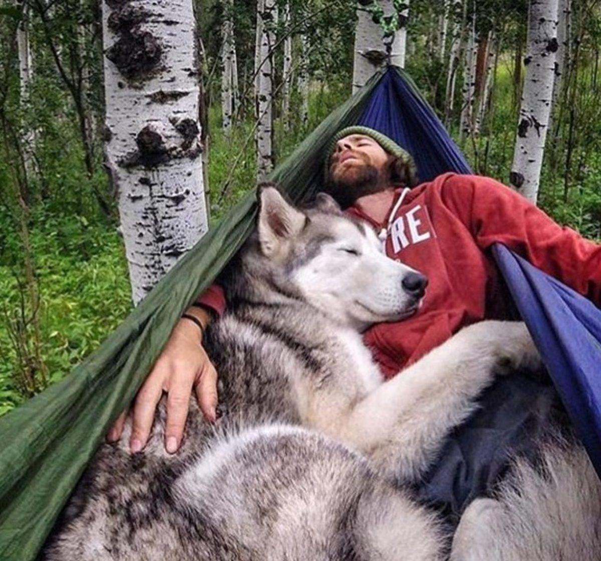 Köpeklerin Sahiplerine 11 Farklı Biçimde ’İyi ki Varsın’ Deme Yolları