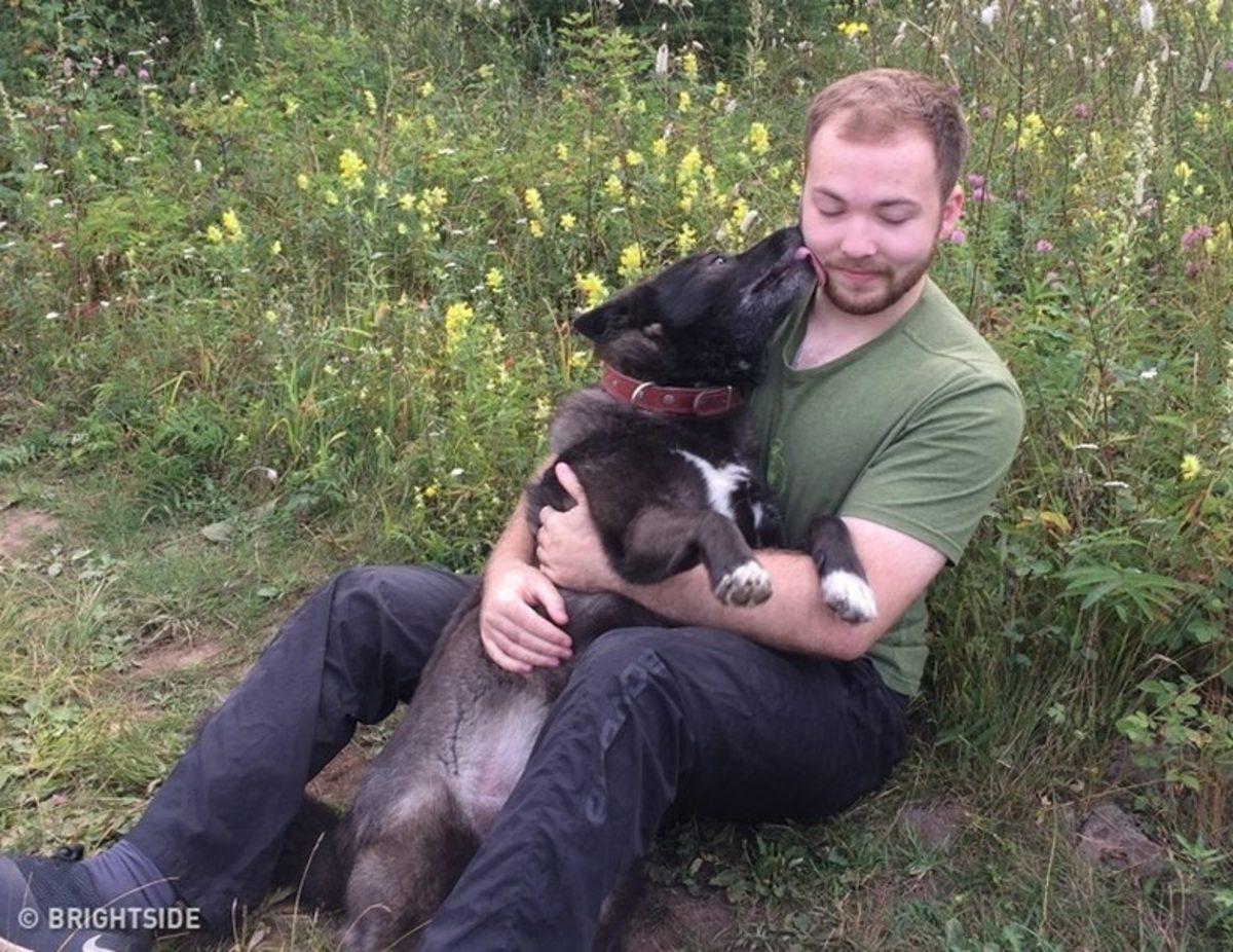 Köpeklerin Sahiplerine 11 Farklı Biçimde ’İyi ki Varsın’ Deme Yolları