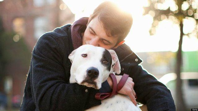 Köpeklerin Sahiplerine 11 Farklı Biçimde ’İyi ki Varsın’ Deme Yolları