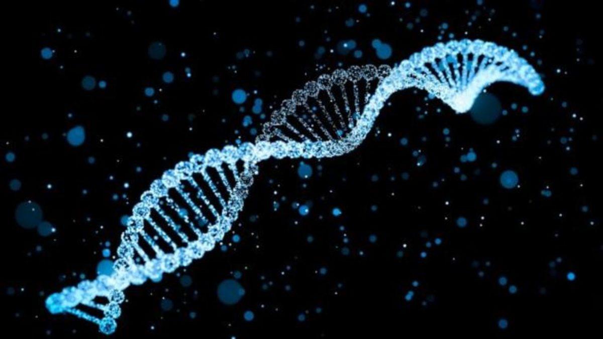 Bilim İnsanları, DNA’dan Yaşam Süresini Hesaplamaya Çalışıyor