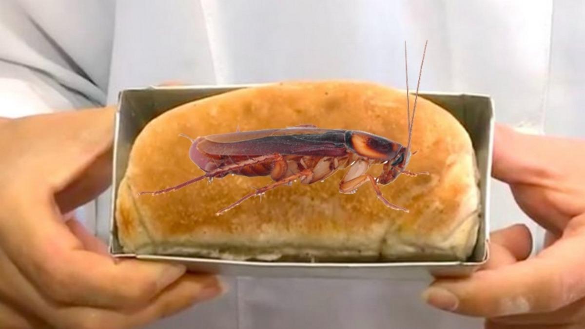 Kırmızı Etten Daha Fazla Protein İçeren Yiyecek: Hamam Böcekli Ekmek