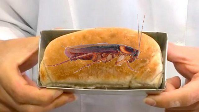 Kırmızı Etten Daha Fazla Protein İçeren Yiyecek: Hamam Böcekli Ekmek