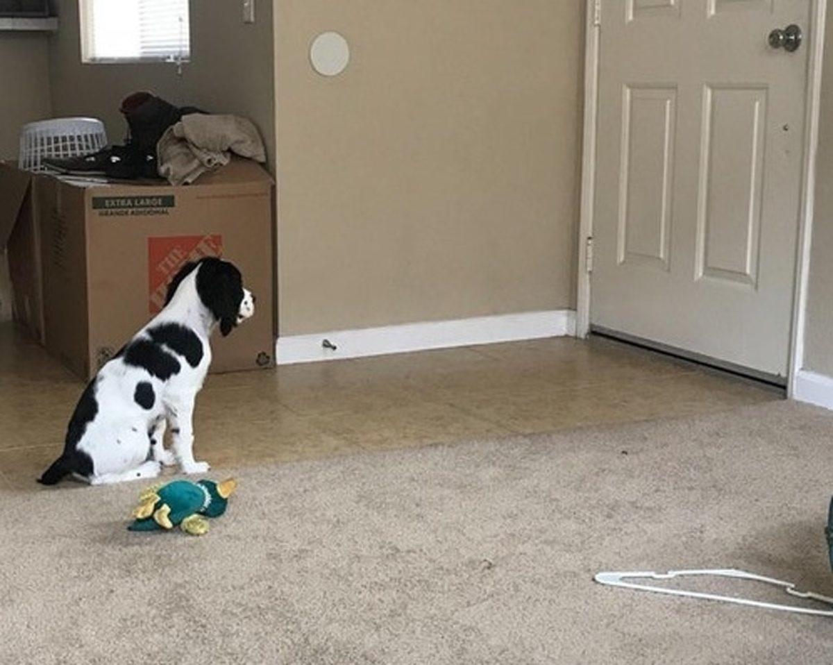 Yüreğinizin Bam Teline Dokunacak 17 Fotoğraf