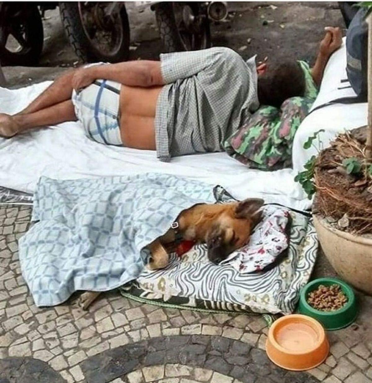 Yüreğinizin Bam Teline Dokunacak 17 Fotoğraf