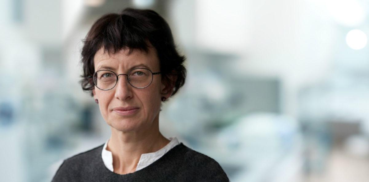 İyi ki Varsınız: Başarılarıyla Tarihe Adını Altın Harflerle Yazdıran 20 Türk Bilim Kadını