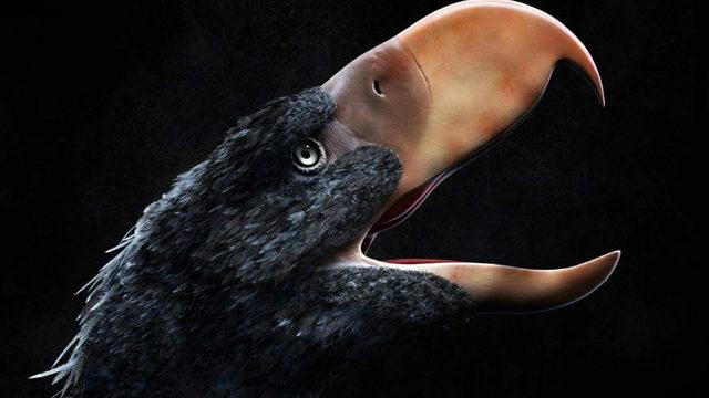 İnsan Yiyen Dev Kuşların Varlığını Kanıtlayan, 115 Bin Yıllık Neanderthal Kemikleri