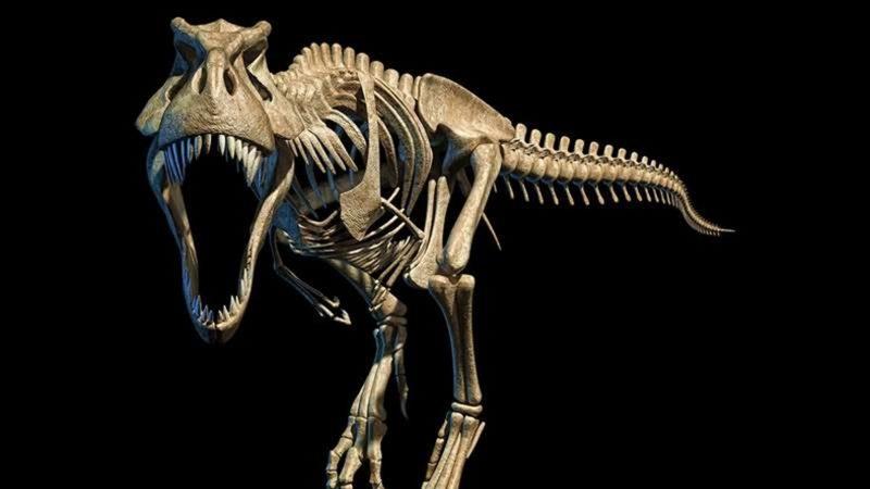 Kanada’da ’Ölüm Meleği’ Adı Verilen Yeni Bir Dinozor Türü Keşfedildi