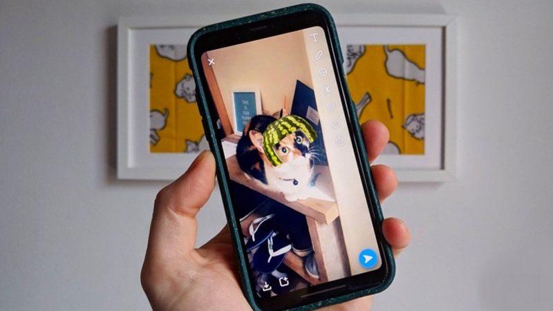 Snapchat Filtreleri Artık Kedilerde de Kullanılabiliyor