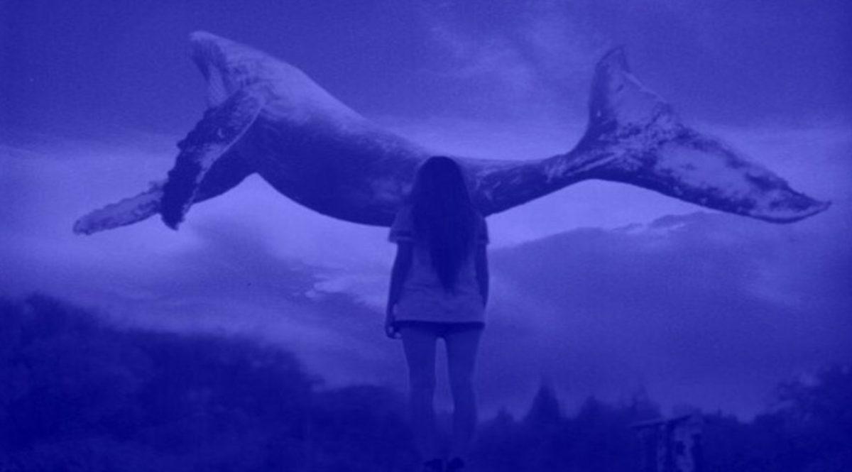 Çocukları İntihara Sürükleyen Mavi Balina Oyununun Ardındaki Çarpıcı Gerçekler