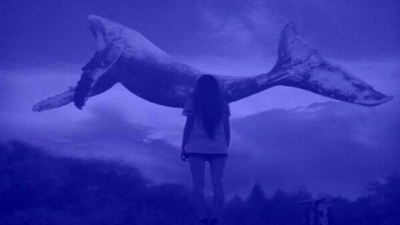 Mavi Balina’nın İntihara Sürükleyen Talimatı TBMM Gündeminde: ’Öl Nasıl Olsa Yeniden Doğacaksın’