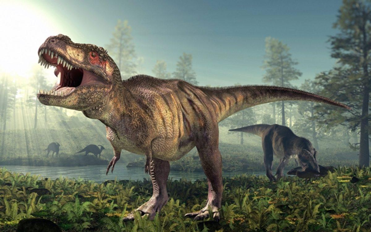 Yeni Bir Araştırma, T-Rex’lerin Kollarını Nasıl Kullandıklarını Açıklıyor