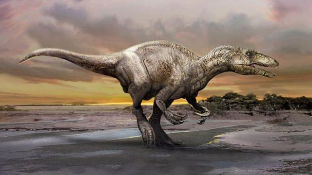 Nesli Tükenen Dinozorlar Ne ile Besleniyorlardı?