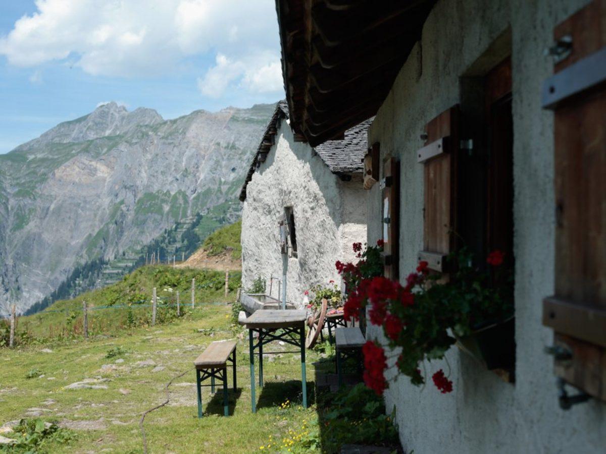 Dünyanın Suç Oranı En Düşük 20 Ülkesi