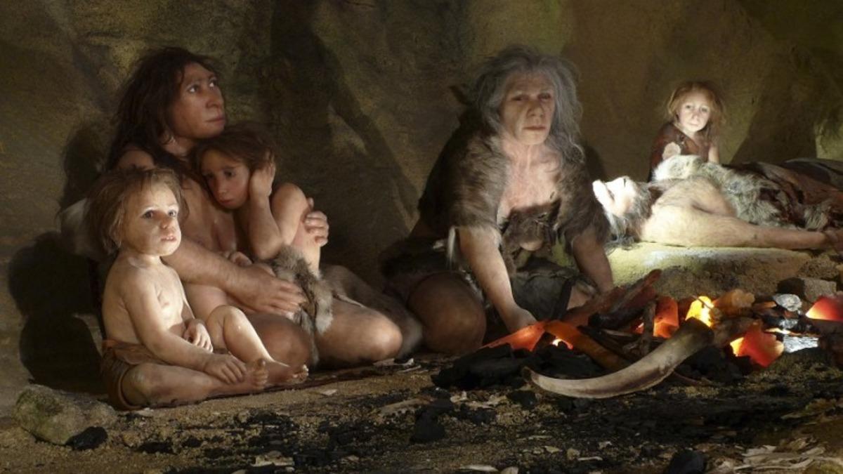 250 Bin Senelik Dişler Üzerinde Yapılan Bir İnceleme, Neandertallere Dair Yeni Bilgiler Sunuyor
