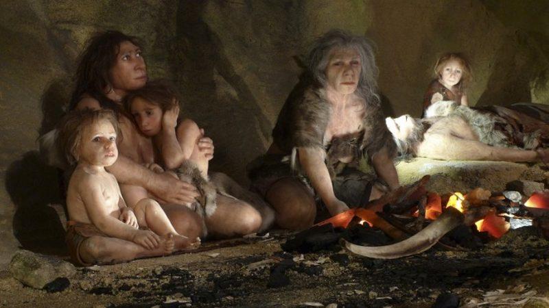 250 Bin Senelik Dişler Üzerinde Yapılan Bir İnceleme, Neandertallere Dair Yeni Bilgiler Sunuyor