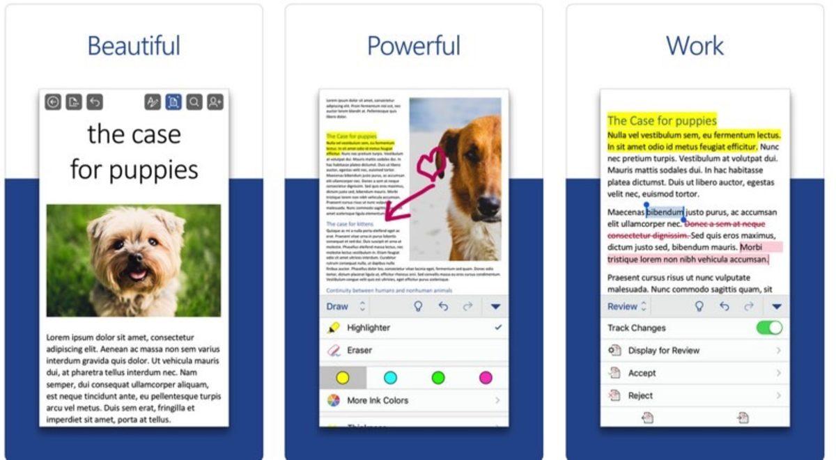 Yeni Bir iPhone Aldığınızda İlk Etapta Yüklemeniz Gereken 10 Uygulama (iOS)