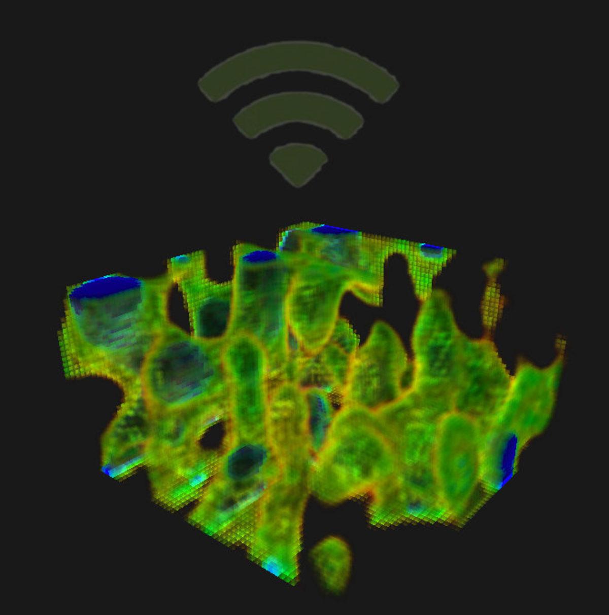 Wi-Fi Kullanarak Duvarın Arkasını Rahatlıkla Görebileceğinizi Biliyor muydunuz?