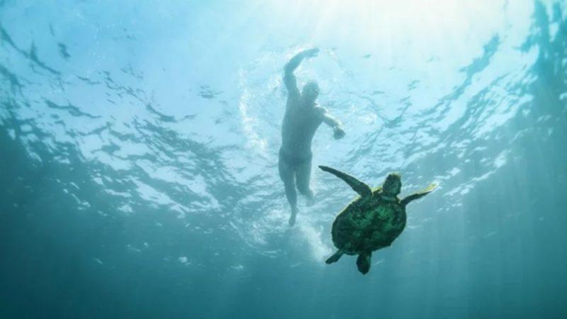 Havuza veya Denize Girince Neden Hafifleriz?